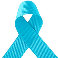 Offray Turquoise Grosgrain Ribbon